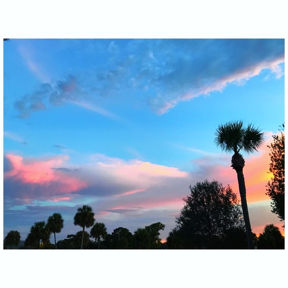 🌻meet your seller🌻 - Picture 2 of 4